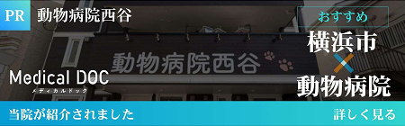 Medical DOC 横浜市×動物病院 当院が紹介されました